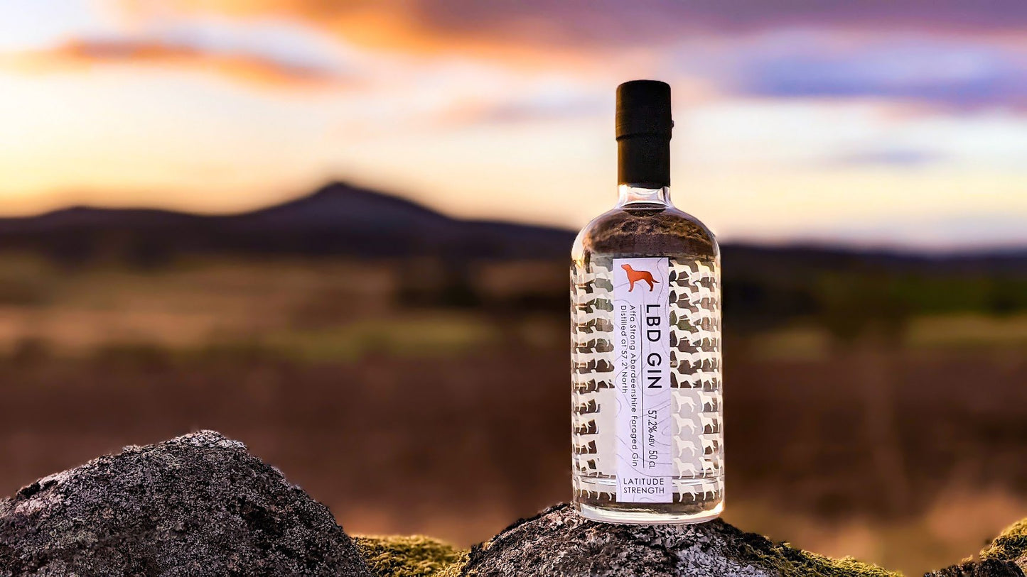 Martini Club September 2023